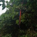 제주 올레길 2코스 이미지