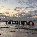 노을과포도향기 | 시흥 거북섬 &amp; 대부도 드라이브 캠핑 | 포도와인 향기와 불멍의 온기, 서해의 하루 🍷🔥