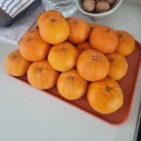 화서4단지(아) | 원래쓰던 주간일기도 착실하게 써야지~~오타쿠의 일상 두개재