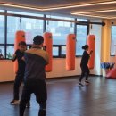 마루GYM 복싱&크로스핏 이미지