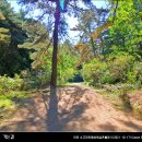 소고리마애삼존석불 이미지