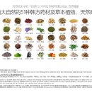 라니디자인 이미지
