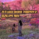 루지G | 경주 아이와 함께 가볼만한곳, 실내 데이트 플래시백 계림