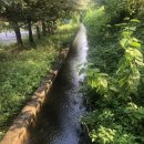 읍내리농로 이미지