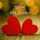 고은님 Daum카페