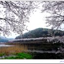 고남저수지 이미지