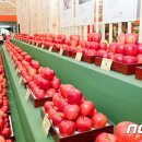 장수신농영농조합법인 이미지