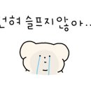 안종석참치