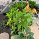 희재농장 이미지