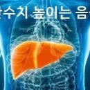 간수치 높이는 음식 바로 알고 건강하게 먹기 이미지