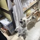 파마트삼보약국 이미지