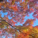 죽산공인중개사사무소 이미지