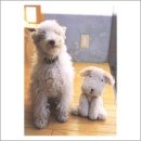 지아'조 이미지