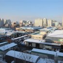 수원농수산물도매시장 이미지