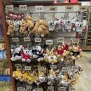 씨월드 피시 이미지