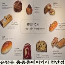 황금종1 | 천안대형카페 유량동 홍종흔베이커리 주말 오픈런 후기