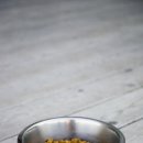 중앙동물병원 이미지