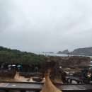 김플랜 | 2017 대만 타이베이