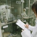 서정동물병원 이미지