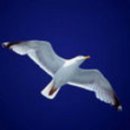 댓글의 달인 이미지