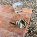 월악초원민박 이미지