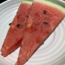 전원숯불 영대점 | [경산맛집] 전원숯불 내돈내산 주말방문 후기