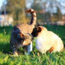 선주동물병원 이미지