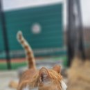 남양 테니스장 테니스장 이미지