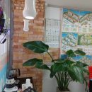 나이스부동산중개사무소 이미지