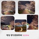 왕인박사유적지 봉선대 | 영암왕인박사 유적지 벚꽃 축제 왕인문화축제 저녁에 다녀온 후기. 벚꽃개화현황 주차정보 음식가격정보