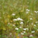 풀내음목장 이미지