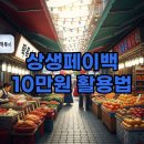 선사온누리약국 | 상생페이백 10만원 지급 후기 및 사용처, 신청 방법 총정리