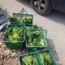 시골농장 이미지