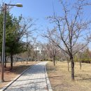 동춘2공원 이미지