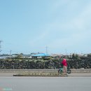 쓩쓩렌탈#