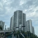 엘스치과의원 이미지