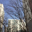 한경행정사사무소 이미지