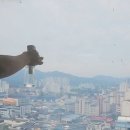 로페코 | 열차단 90%단열필름 다마거 시트- 로페코 단열시트 후기