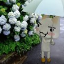 국제전자센터 이미지