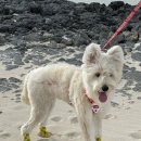 승에너지 이미지