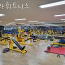 헤라휘트니스 이미지