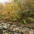 왕신3리 이미지