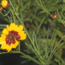 프로들레이싱 이미지