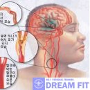 드림핏 이미지