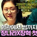 ＜기부천사 장나라＞우리회, 이시대 여장군 장나라님의 최근 모습 이미지