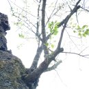 총리 적합도, 정당 지지율까지..최악의 결과 나오자 국힘 초토화! 김용태, 이재명 대통령에게 또 참교육 당했네ㅋㅋ 이 대통령 나토 불참 이미지