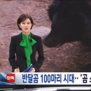 지리산 곰 100마리 육박하자 내놓은 특단의 조치 이미지