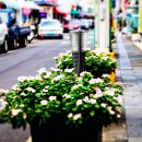 하영올레 1코스 이미지