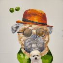 제주브리더서비스 이미지