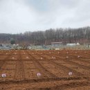 일대농장(2) 이미지